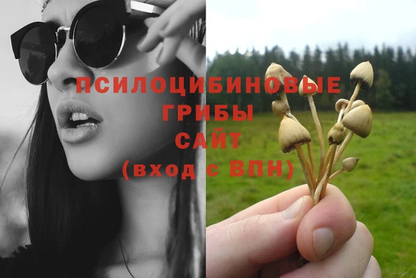 хмурый Армянск